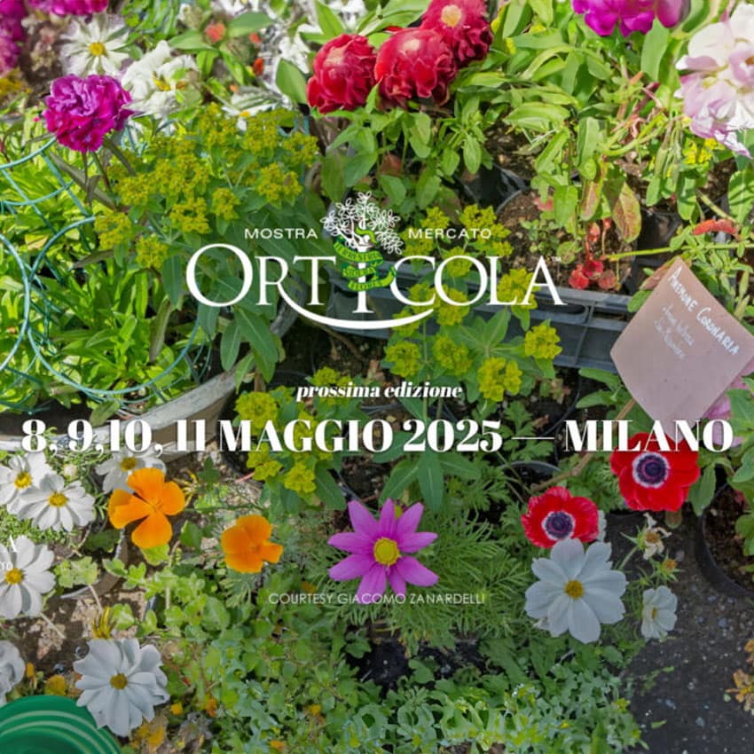 Orticola
