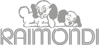 ard_raimondi-spa_logo-1.gif