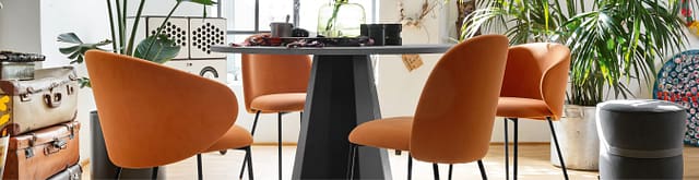 Calligaris S.p.A. Cover